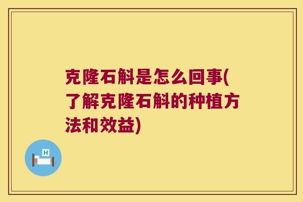 克隆石斛是怎么回事(了解克隆石斛的种植方法和效益)
