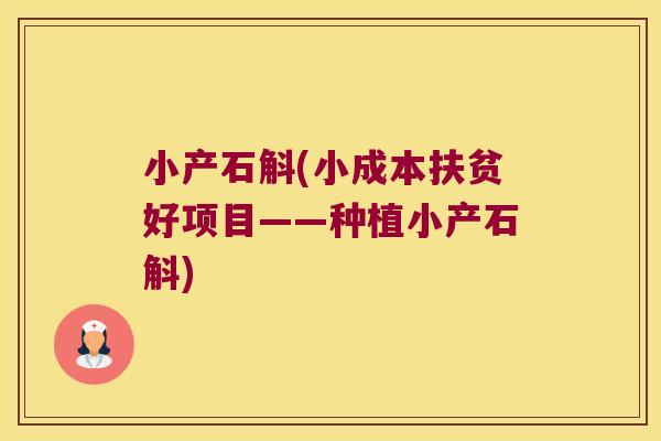 小产石斛(小成本扶贫好项目——种植小产石斛)