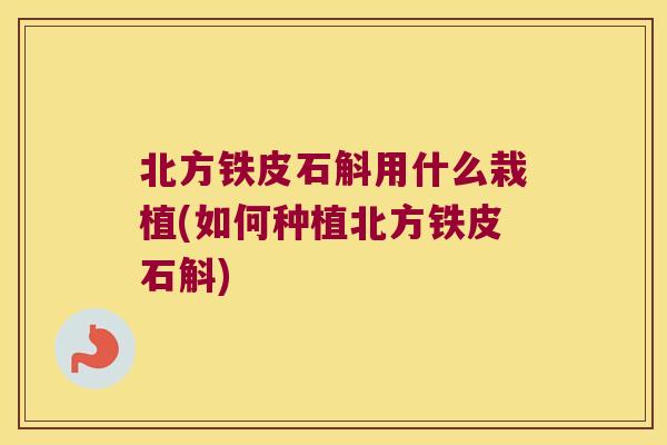 北方铁皮石斛用什么栽植(如何种植北方铁皮石斛)