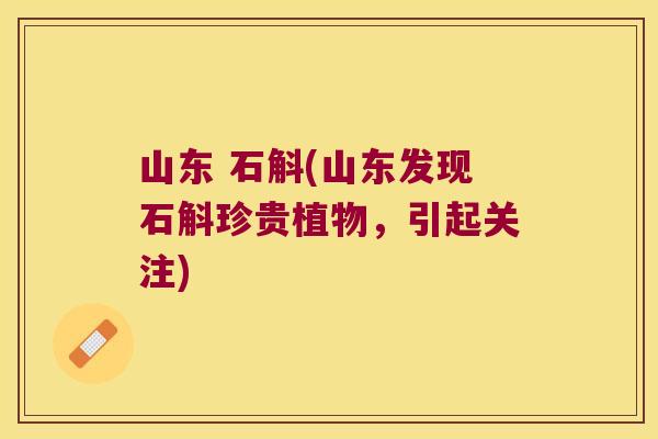 山东 石斛(山东发现石斛珍贵植物，引起关注)