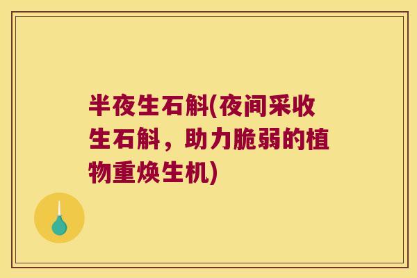 半夜生石斛(夜间采收生石斛，助力脆弱的植物重焕生机)