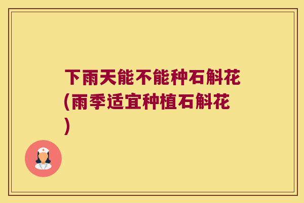 下雨天能不能种石斛花(雨季适宜种植石斛花)