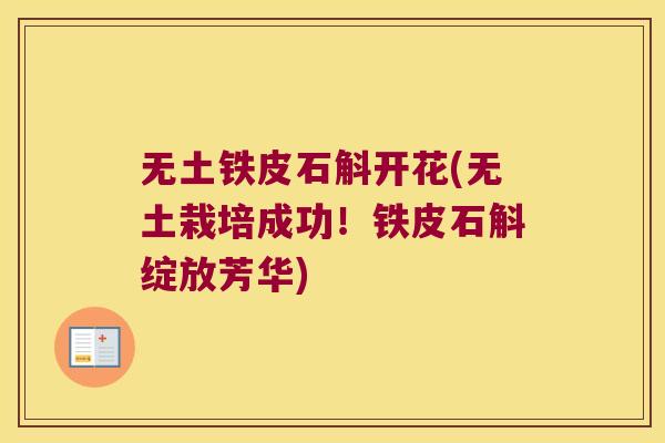 无土铁皮石斛开花(无土栽培成功!铁皮石斛绽放芳华) 无土铁皮石斛开花(无土栽培成功!铁皮石斛绽放芳华)
