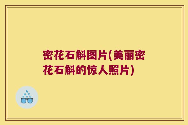 密花石斛图片(美丽密花石斛的惊人照片)