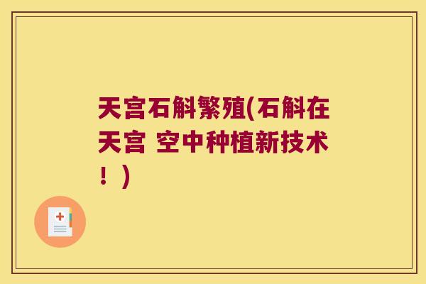 天宫石斛繁殖(石斛在天宫 空中种植新技术！)