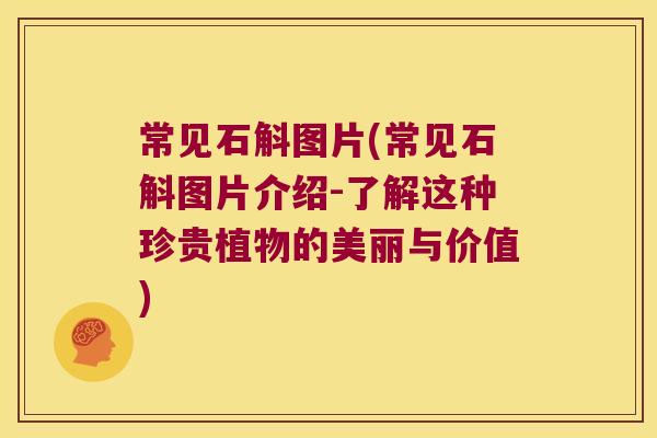 常见石斛图片(常见石斛图片介绍-了解这种珍贵植物的美丽与价值)