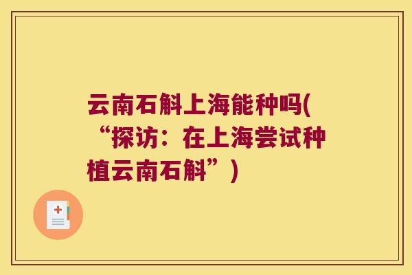 云南石斛上海能种吗(“探访：在上海尝试种植云南石斛”)