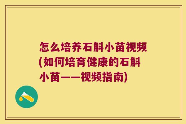 怎么培养石斛小苗视频(如何培育健康的石斛小苗——视频指南)
