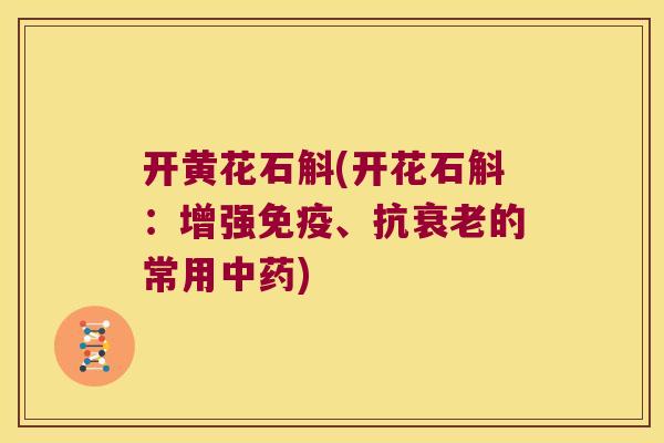 开黄花石斛(开花石斛：增强、抗的常用)