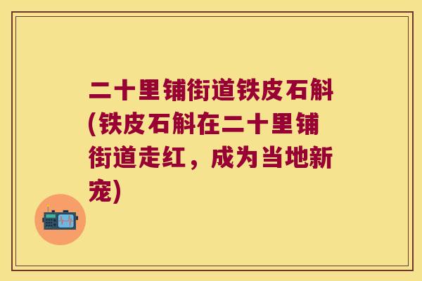 二十里铺街道铁皮石斛(铁皮石斛在二十里铺街道走红，成为当地新宠)