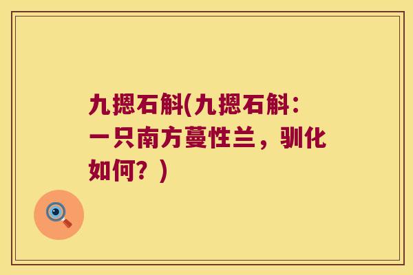 九摁石斛(九摁石斛：一只南方蔓性兰，驯化如何？)