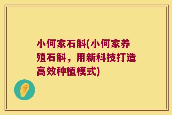 小何家石斛(小何家养殖石斛，用新科技打造高效种植模式)