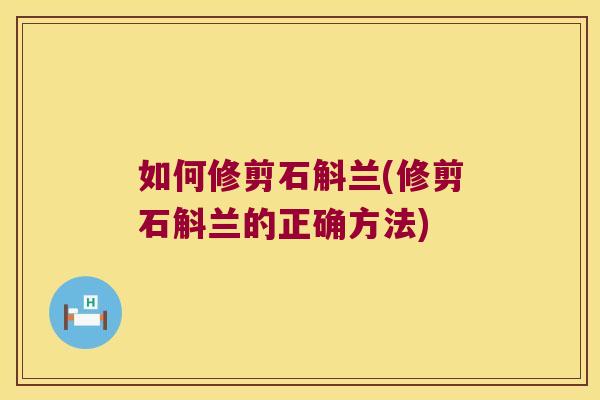 如何修剪石斛兰(修剪石斛兰的正确方法)