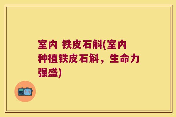 室内 铁皮石斛(室内种植铁皮石斛，生命力强盛)