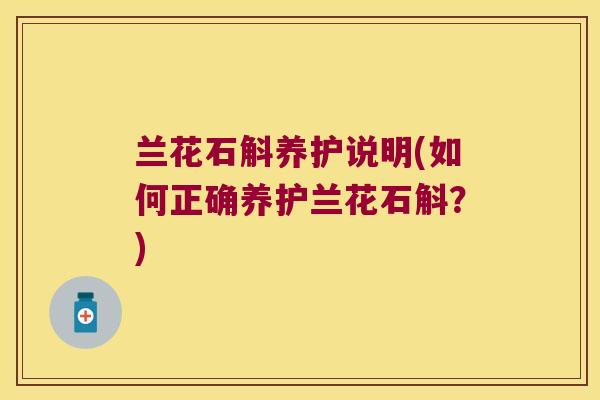 兰花石斛养护说明(如何正确养护兰花石斛？)