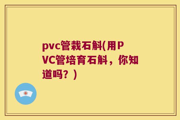 pvc管栽石斛(用PVC管培育石斛，你知道吗？)