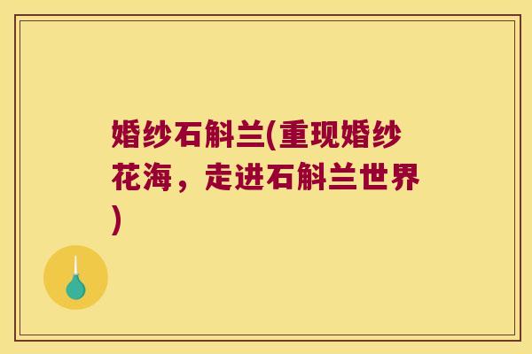 婚纱石斛兰(重现婚纱花海，走进石斛兰世界)