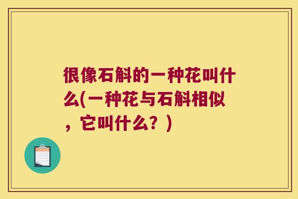 很像石斛的一种花叫什么(一种花与石斛相似，它叫什么？)