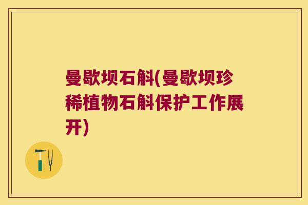 曼歇坝石斛(曼歇坝珍稀植物石斛保护工作展开)