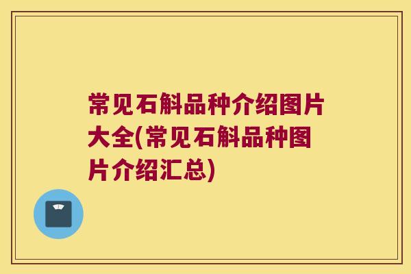 常见石斛品种介绍图片大全(常见石斛品种图片介绍汇总)
