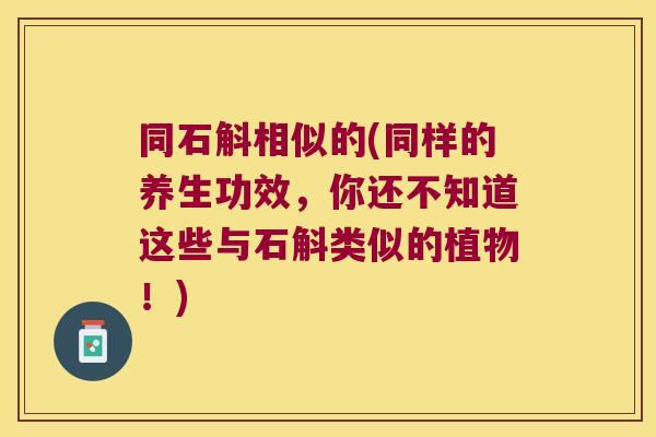 同石斛相似的(同样的养生功效，你还不知道这些与石斛类似的植物！)