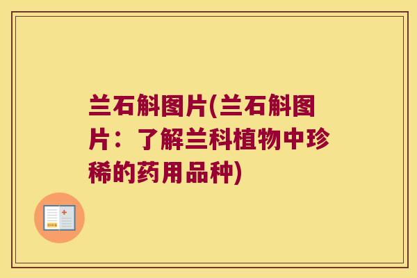 兰石斛图片(兰石斛图片：了解兰科植物中珍稀的药用品种)