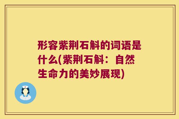 形容紫荆石斛的词语是什么(紫荆石斛：自然生命力的美妙展现)