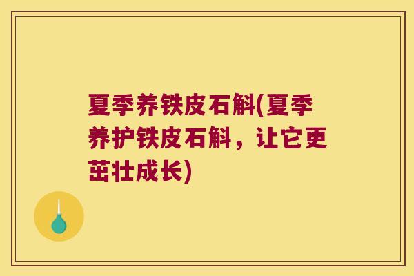 夏季养铁皮石斛(夏季养护铁皮石斛,让它更茁壮成长) 夏季养铁皮石斛(夏季养护铁皮石斛,让它更茁壮成长)