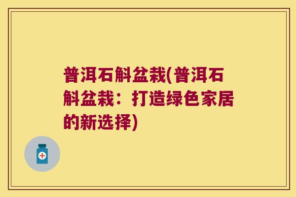 普洱石斛盆栽(普洱石斛盆栽：打造绿色家居的新选择)