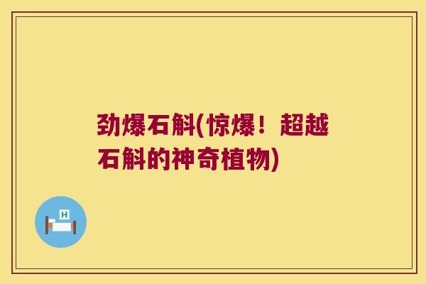 劲爆石斛(惊爆！超越石斛的神奇植物)
