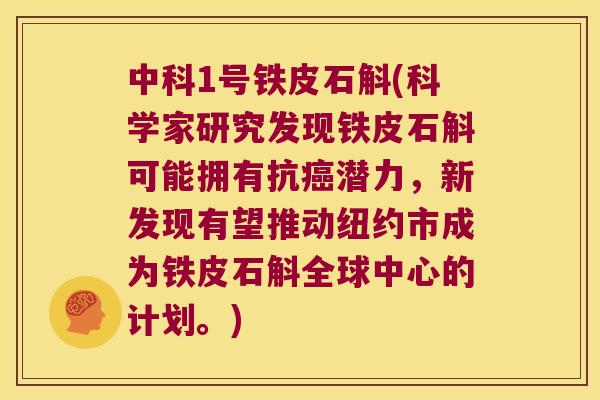 中科1号铁皮石斛(科学家研究发现铁皮石斛可能拥有抗癌潜力，新发现有望推动纽约市成为铁皮石斛全球中心的计划。)