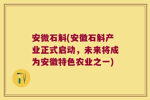 安微石斛(安徽石斛产业正式启动，未来将成为安徽特色农业之一)