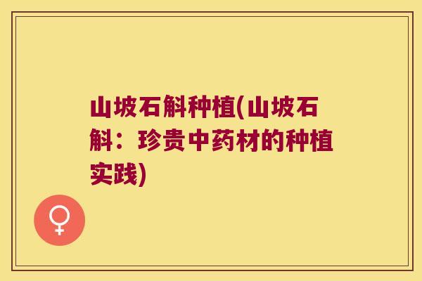 山坡石斛种植(山坡石斛：珍贵中药材的种植实践)