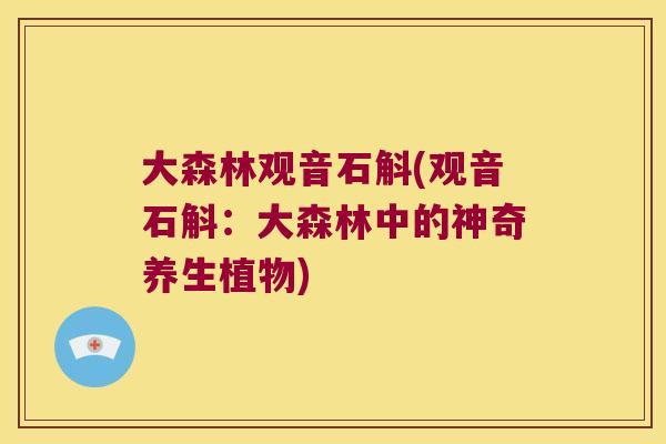 大森林观音石斛(观音石斛：大森林中的神奇养生植物)