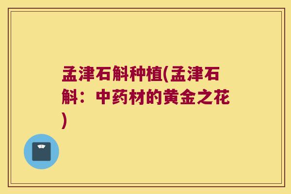 孟津石斛种植(孟津石斛：中药材的黄金之花)