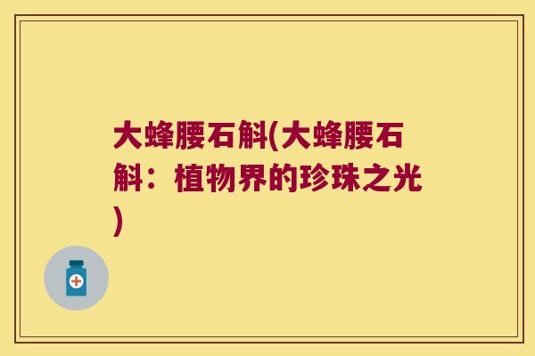 大蜂腰石斛(大蜂腰石斛：植物界的珍珠之光)