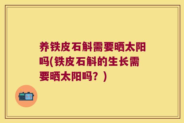 养铁皮石斛需要晒太阳吗(铁皮石斛的生长需要晒太阳吗？)