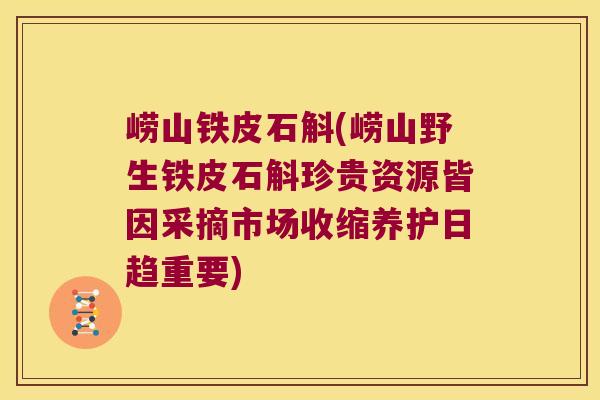 崂山铁皮石斛(崂山野生铁皮石斛珍贵资源皆因采摘市场收缩养护日趋重要)