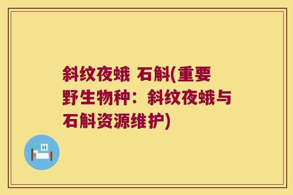 斜纹夜蛾 石斛(重要野生物种：斜纹夜蛾与石斛资源维护)
