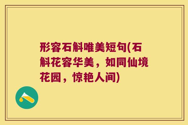 形容石斛唯美短句(石斛花容华美，如同仙境花园，惊艳人间)