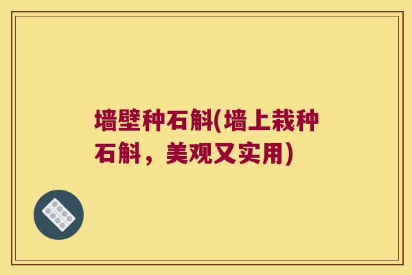墙壁种石斛(墙上栽种石斛，美观又实用)