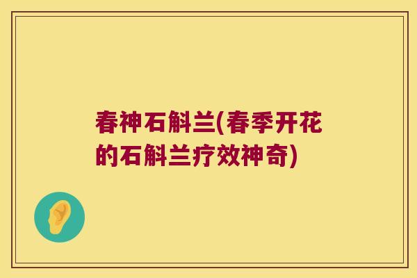 春神石斛兰(春季开花的石斛兰疗效神奇)