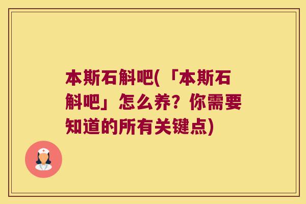本斯石斛吧(「本斯石斛吧」怎么养？你需要知道的所有关键点)