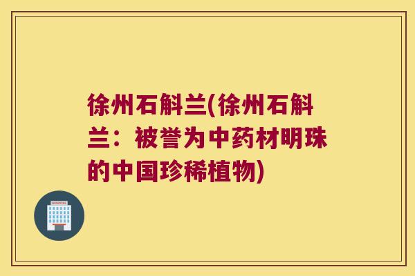 徐州石斛兰(徐州石斛兰：被誉为中药材明珠的中国珍稀植物)