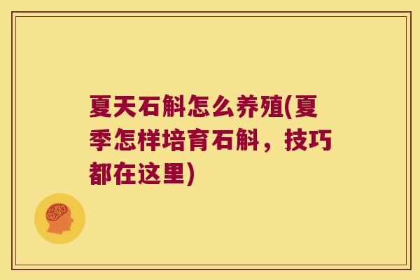 夏天石斛怎么养殖(夏季怎样培育石斛，技巧都在这里)