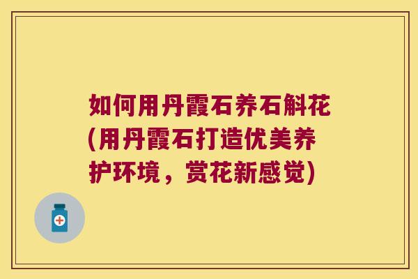 如何用丹霞石养石斛花(用丹霞石打造优美养护环境，赏花新感觉)