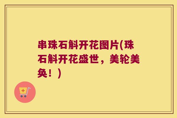 串珠石斛开花图片(珠石斛开花盛世，美轮美奂！)