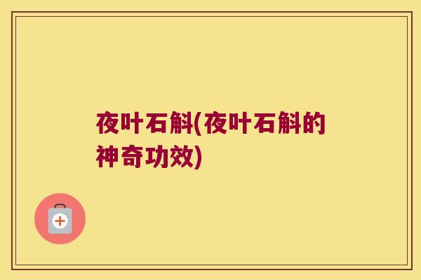 夜叶石斛(夜叶石斛的神奇功效)