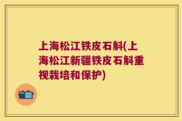 上海松江铁皮石斛(上海松江新疆铁皮石斛重视栽培和保护)