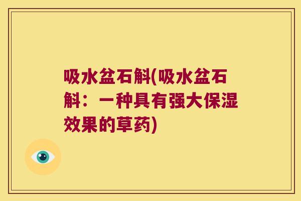 吸水盆石斛(吸水盆石斛：一种具有强大保湿效果的草药)